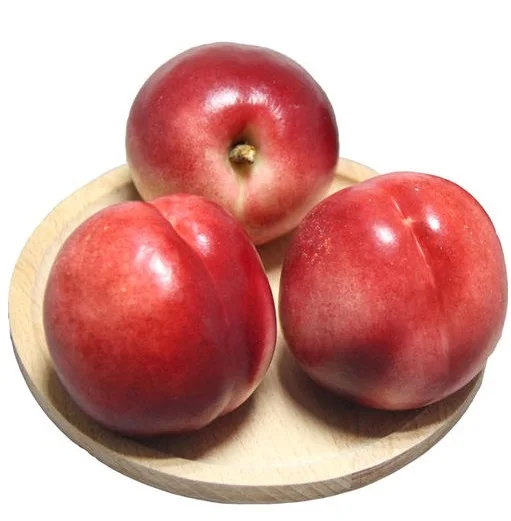 High recommended 100% natural fresh stone fruit class A red Australian fresh nectarine
