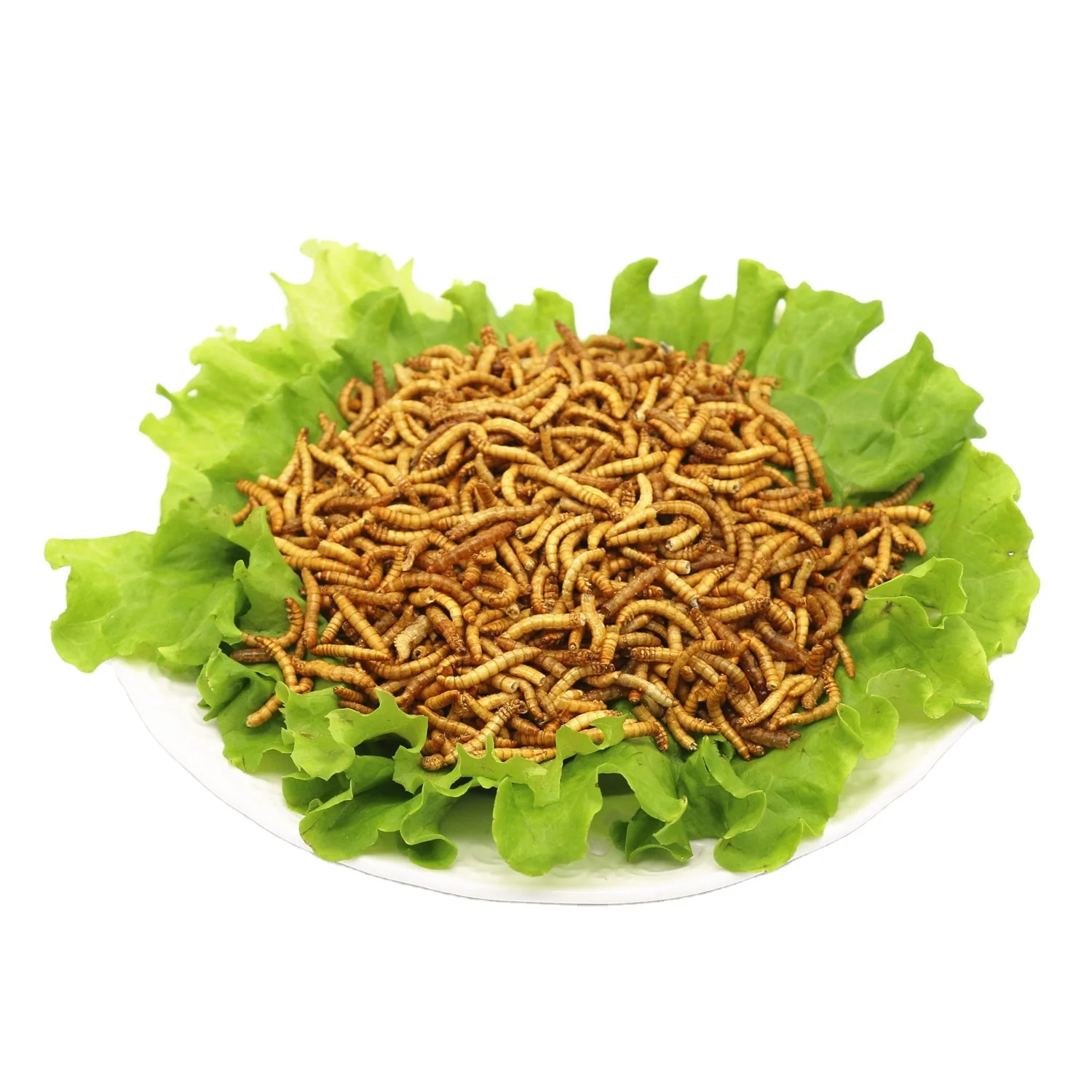 Dried Mealworms for Animal Food hamster snacks