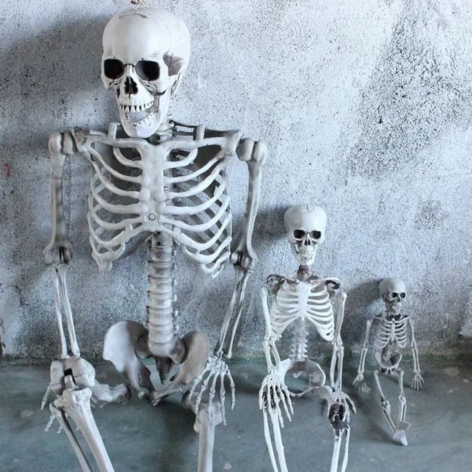 Halloween Cosplay Skeleton S-kull Prop Decoration Haunted House Decoration Horror Party Supplies Halloween Toys