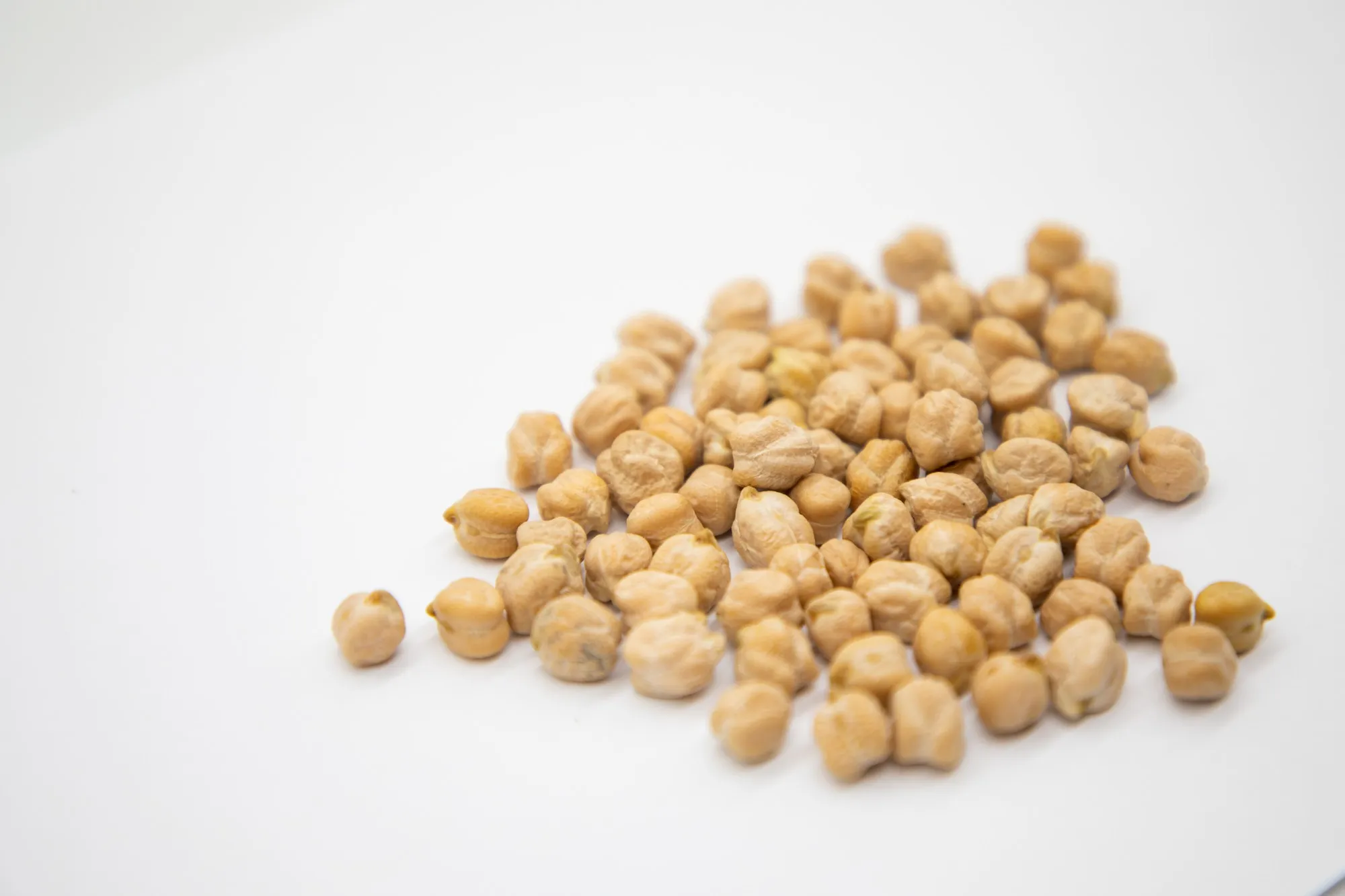Organic chickpeas 100% natural high grade 6+ 7+ 8+ 9+ caliber chickpea in bulk from Uzbekistan manufacturer