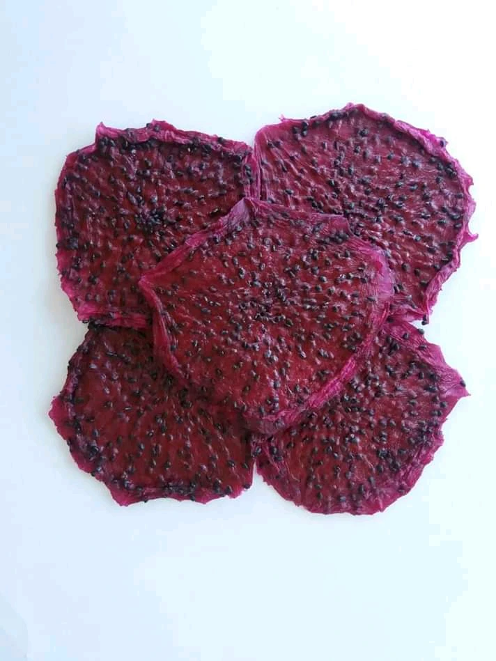 Dried red/white meet from dragon fruit in vietnam/dragon fruit cuttings/dehydrated dragon fruit 99 Gold Data
