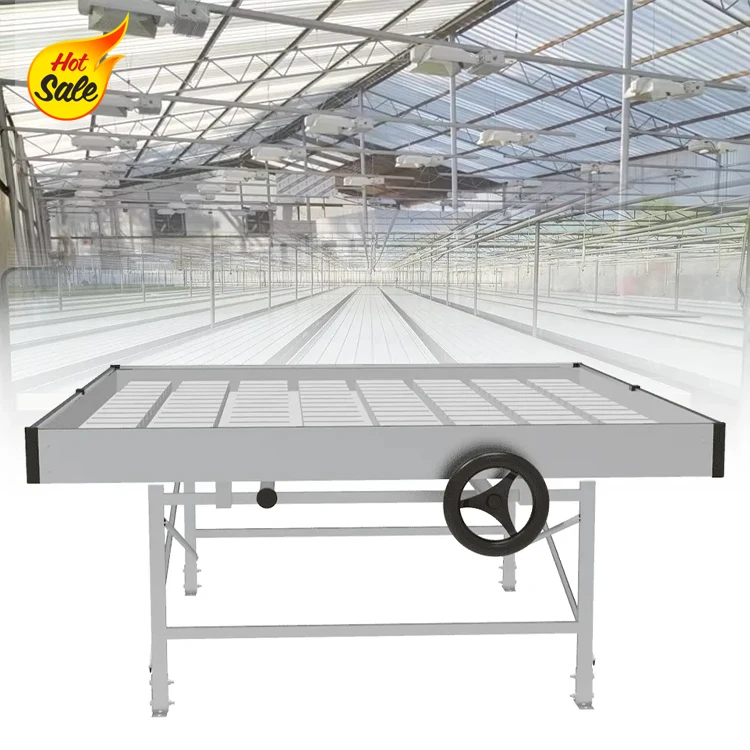 Cash Commodity Hydroponic Grow Tomato Vegetable Plant Seedbed Ebb And Flow Tray Rolling Benches And Tables For Sale