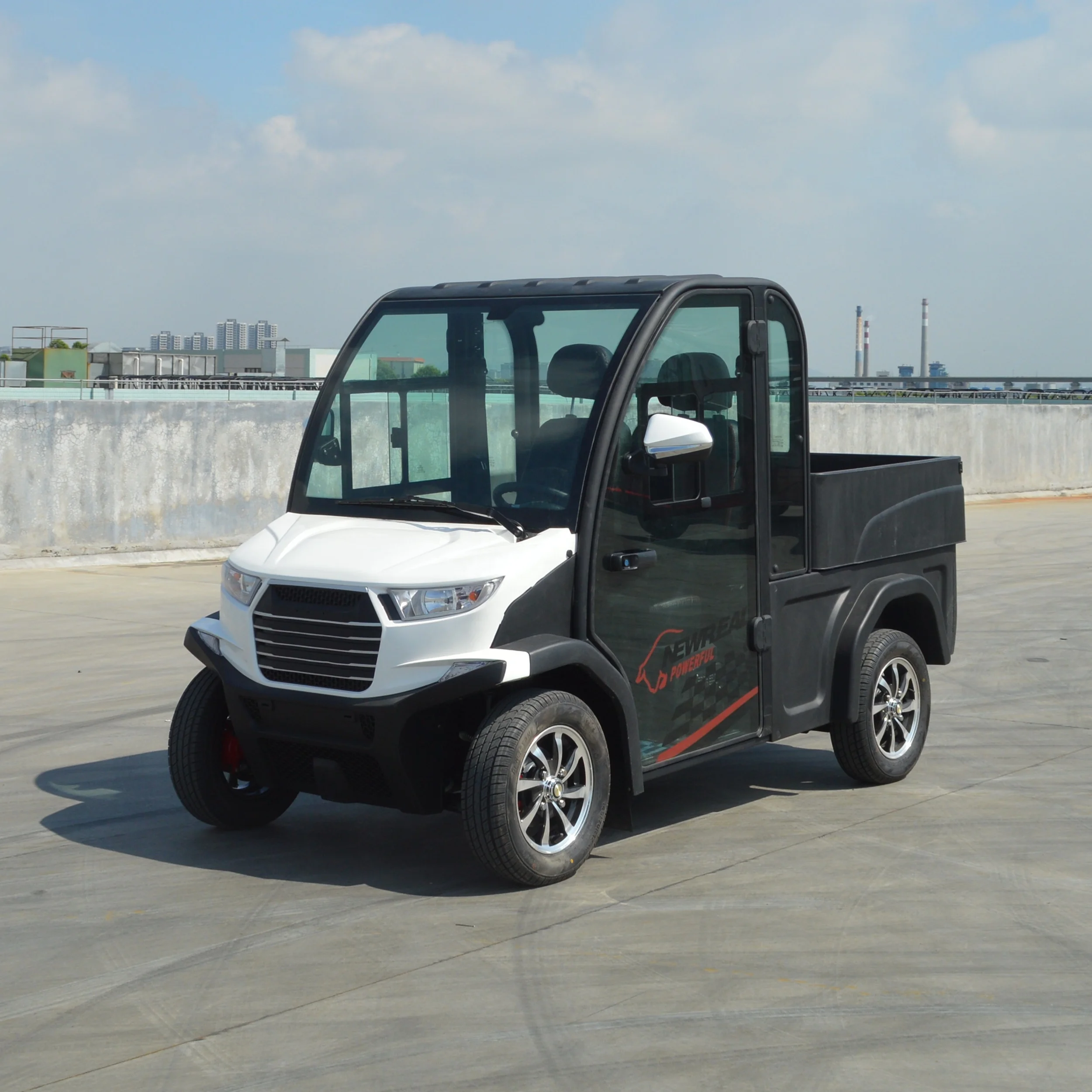 Electric Mini Truck 2 Seats Car with Lead Acid Battery