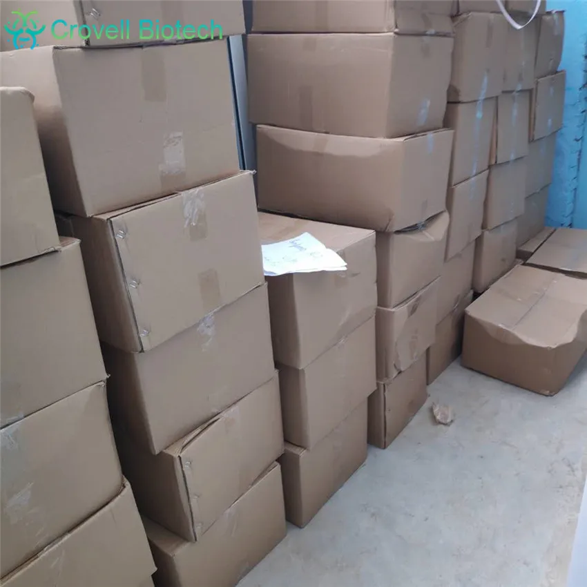 
CAS 1094-61-7 Nicotinamide Mononucleotide NMN with Factory price 
