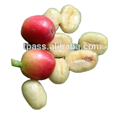 Тайланд ростер кофейных зерен Arabica