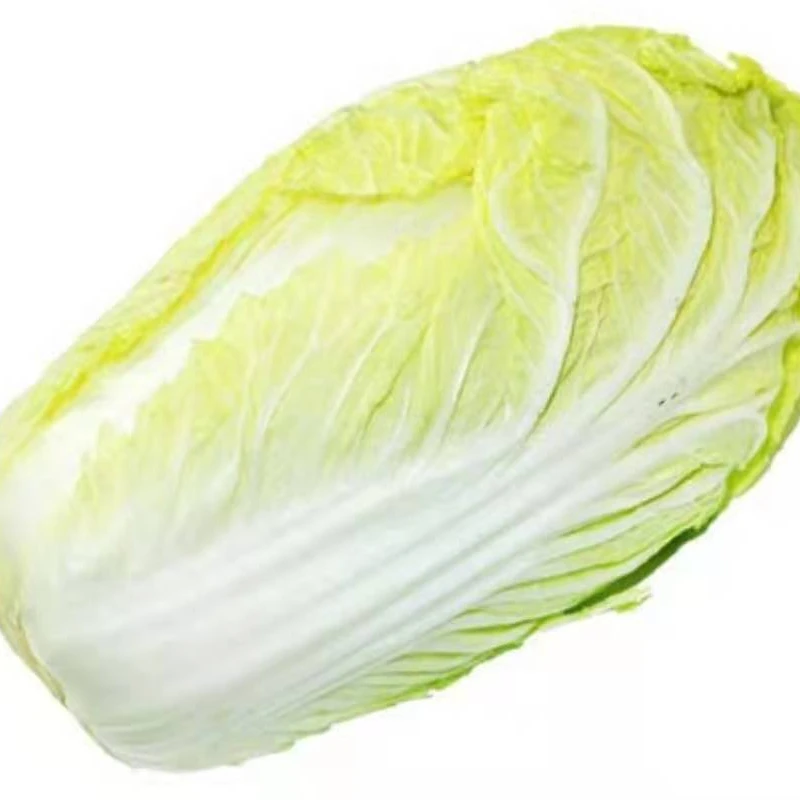 2021 best quality  cheap price Chinese cabbage