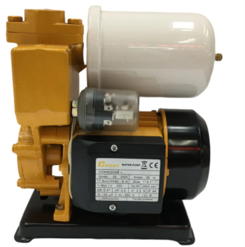 220V Household Water Pump High Lift 1 Inch Self-priming Pump