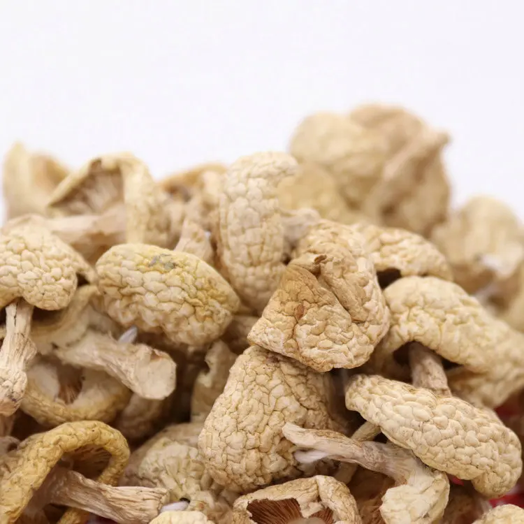 
dried mushroom magic rare edible mushrooms 