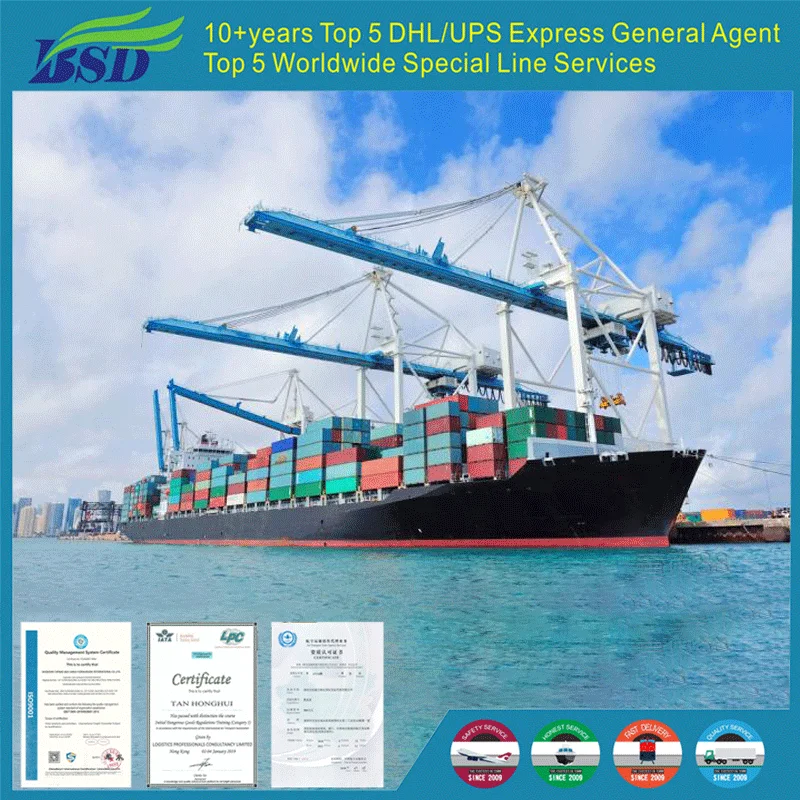 Professional Sea Freight Forwarder From China By Fast Shipping Competitive Price To Other Countries