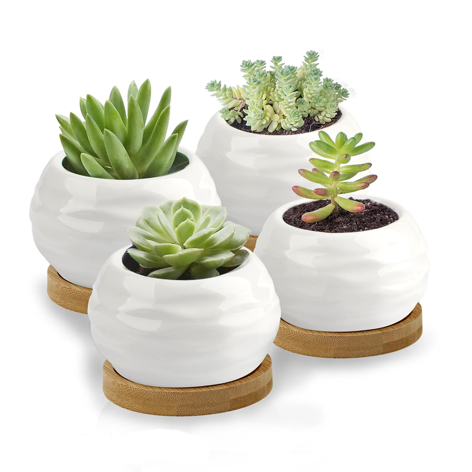 Ceramic Plant Pot indoor White Flower pots Mini Succulent pot planter for Cactus, Herbs, Home