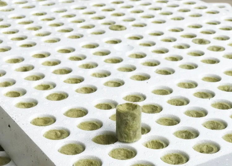 Hydroponics Aquaponic System Vertical Growing Media Rock Wool Blocks Cubes