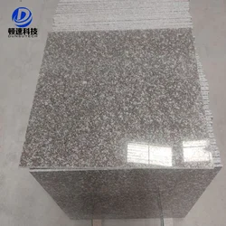 Commercial and Home Flooring Granite Floor Tiles 60 x 60 New G664 Granite Polished Surface Finishing Granite