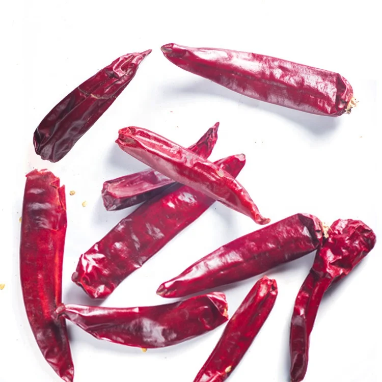 Long size wrinkled less seeds dark red color Dried Red Chilli