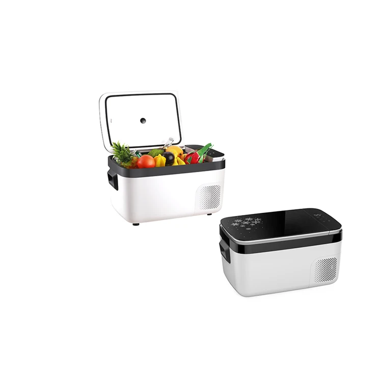 vertical portable gas refrigerator  for car