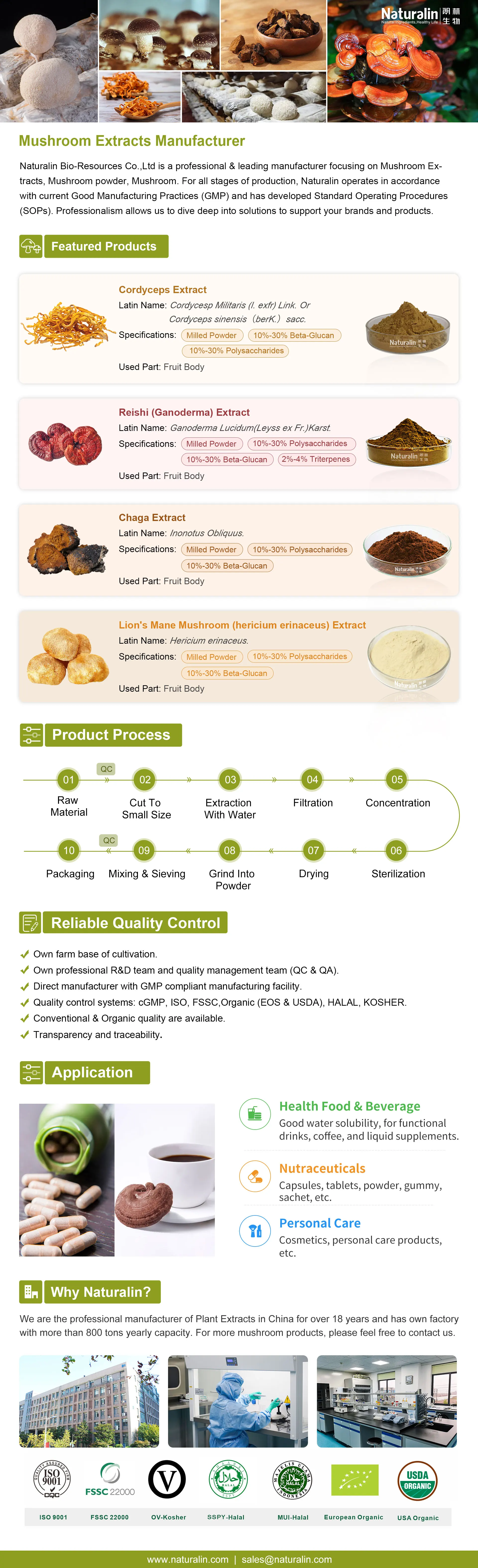 Naturalin Mushroom Extract Powder Blend Maitake Oyster Cordyceps Chaga Reishi Shiitake Lions Mane Organic Mushroom Powder