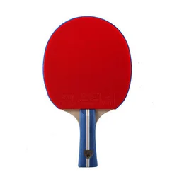 Trail order low MOQ Double fish K9 Table tennis racket Ayous Limba wood pingpong racket