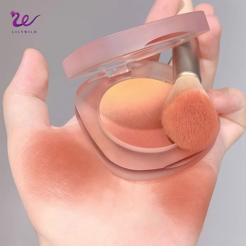 Lilywild Cruelty Free Luxury Gradient Wholesale Makeup Pigment Custom Logo Makeup Vegan Powder Blush