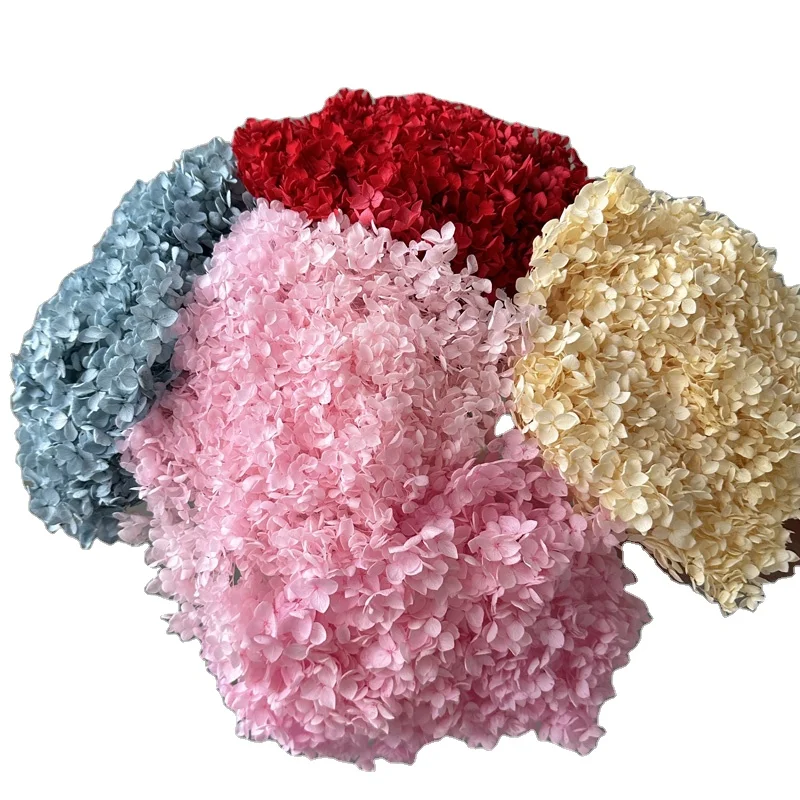 Wholesale the Real Touch Natural Dried Hydrangeas flowers artificial Preserved Hydrangea for wedding Decorations