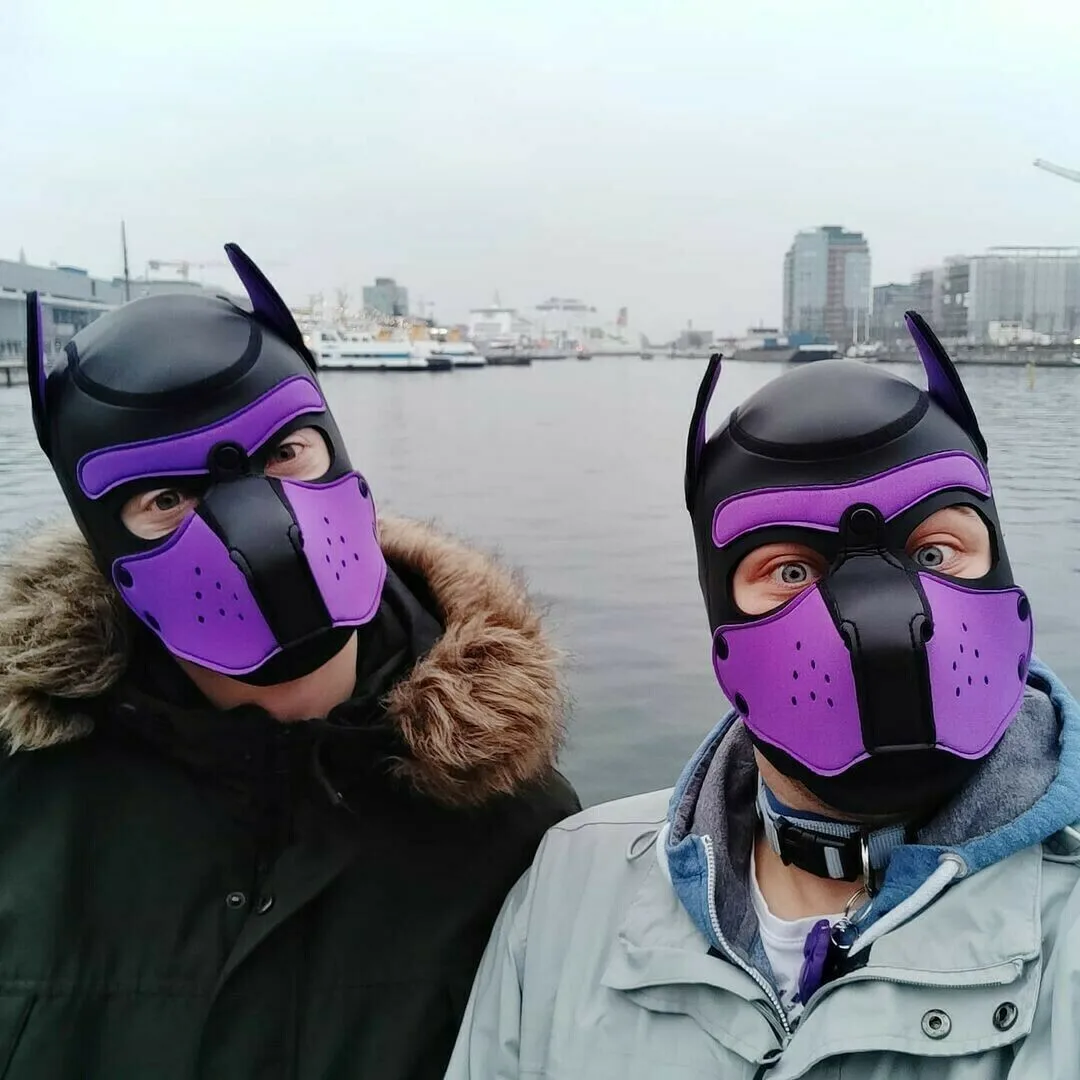 Apply to cosplay Props dog Head Neoprene Sponge Headgear fetish puppy play  pup hoods dog fetish-mask supplier