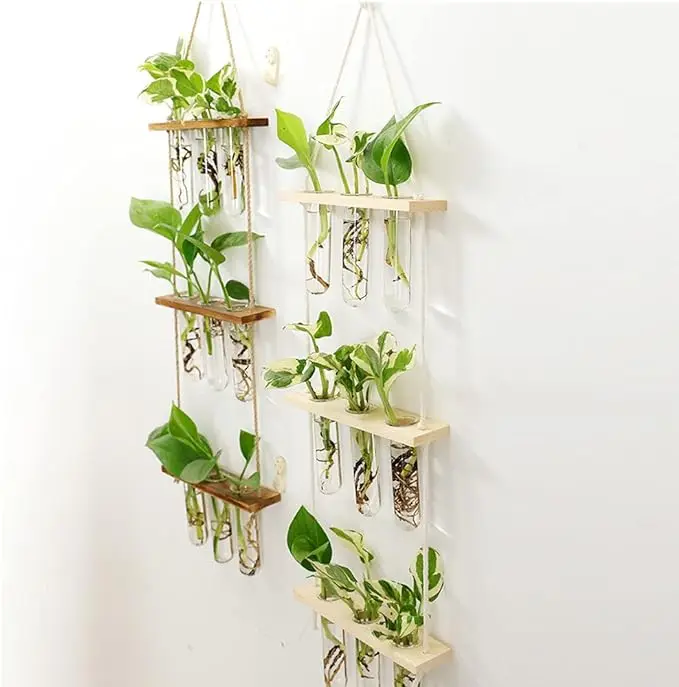 Hanging Propagation Station for Plants 3 Levels Wall Planter Glass Test Tube Vases for Flowers with Wooden Shelf
