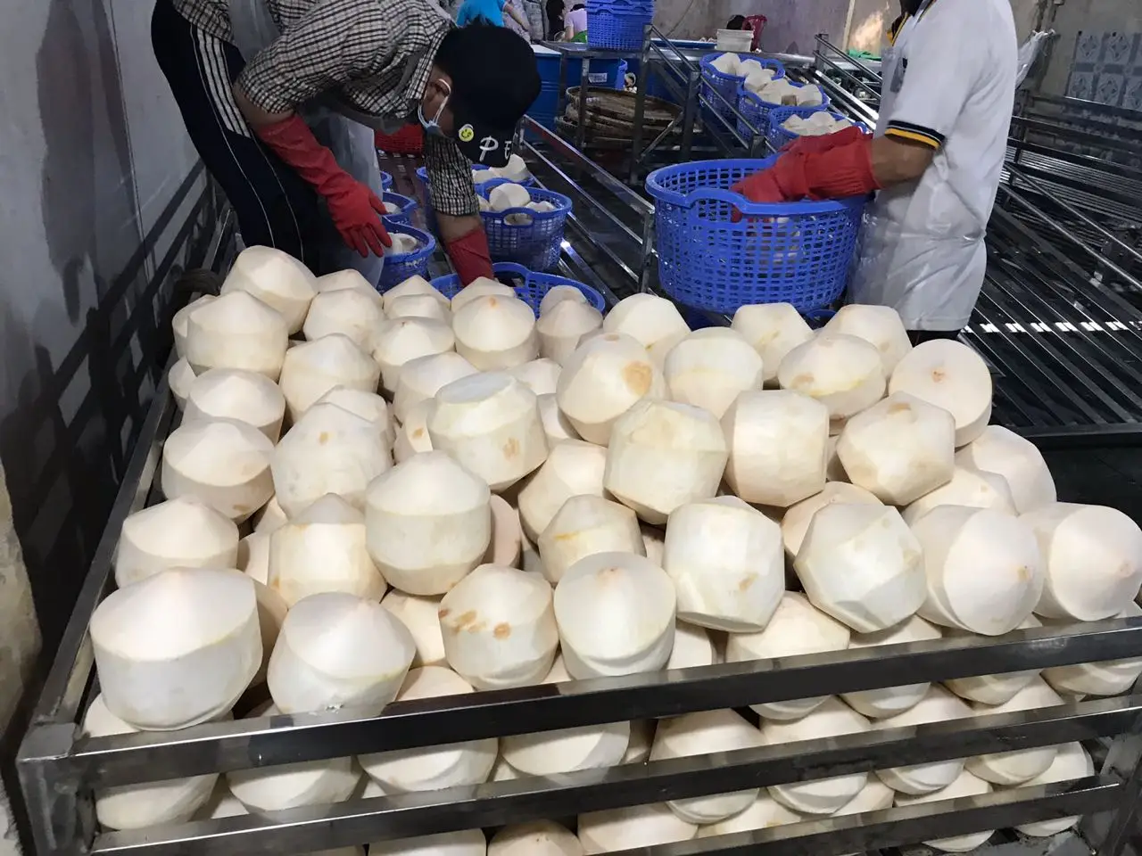 Свежий молодой кокос из Вьетнама/форма алмаза-Whatsapp