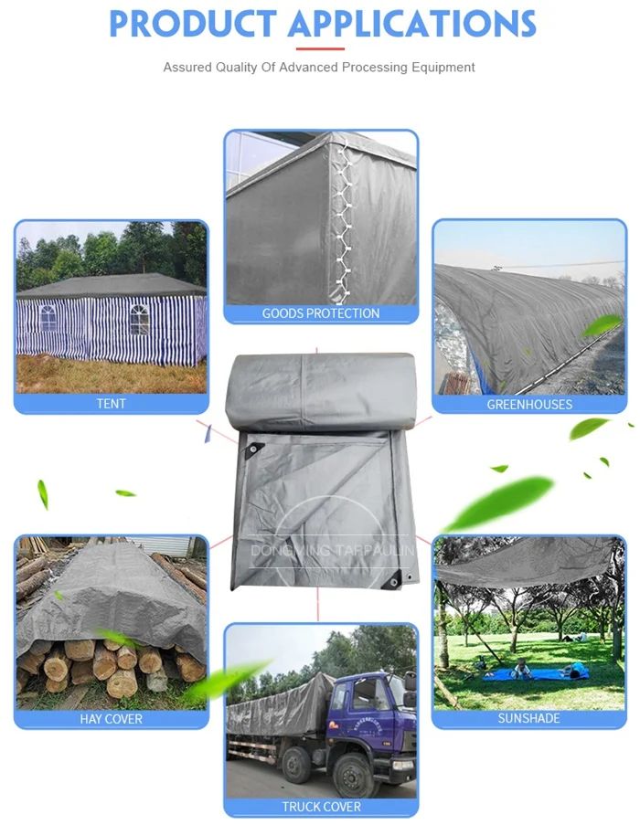 Tarpaulin Silver6.jpg