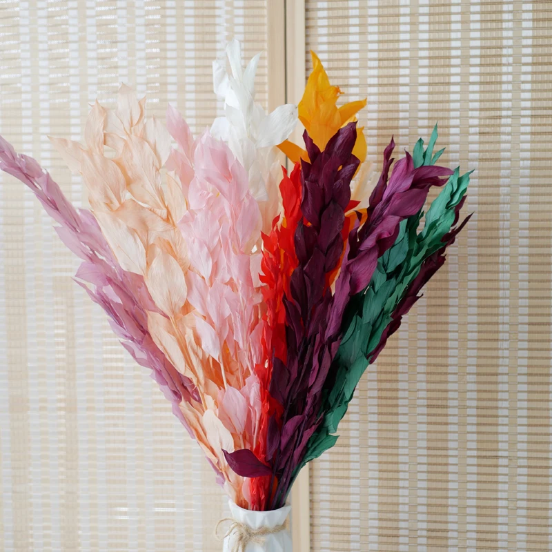 Ruscus Leaves Dried Flower Arrangements Decoration Natural Preserved Flowers Bleached Orange Leaves Italian Israel Ruscus Leaves