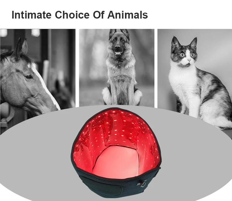 Factory Fashion Equipment Red Light Therapy Belt Red Infrared 660nm 850nm  Animal Waist for Treat Arthritis