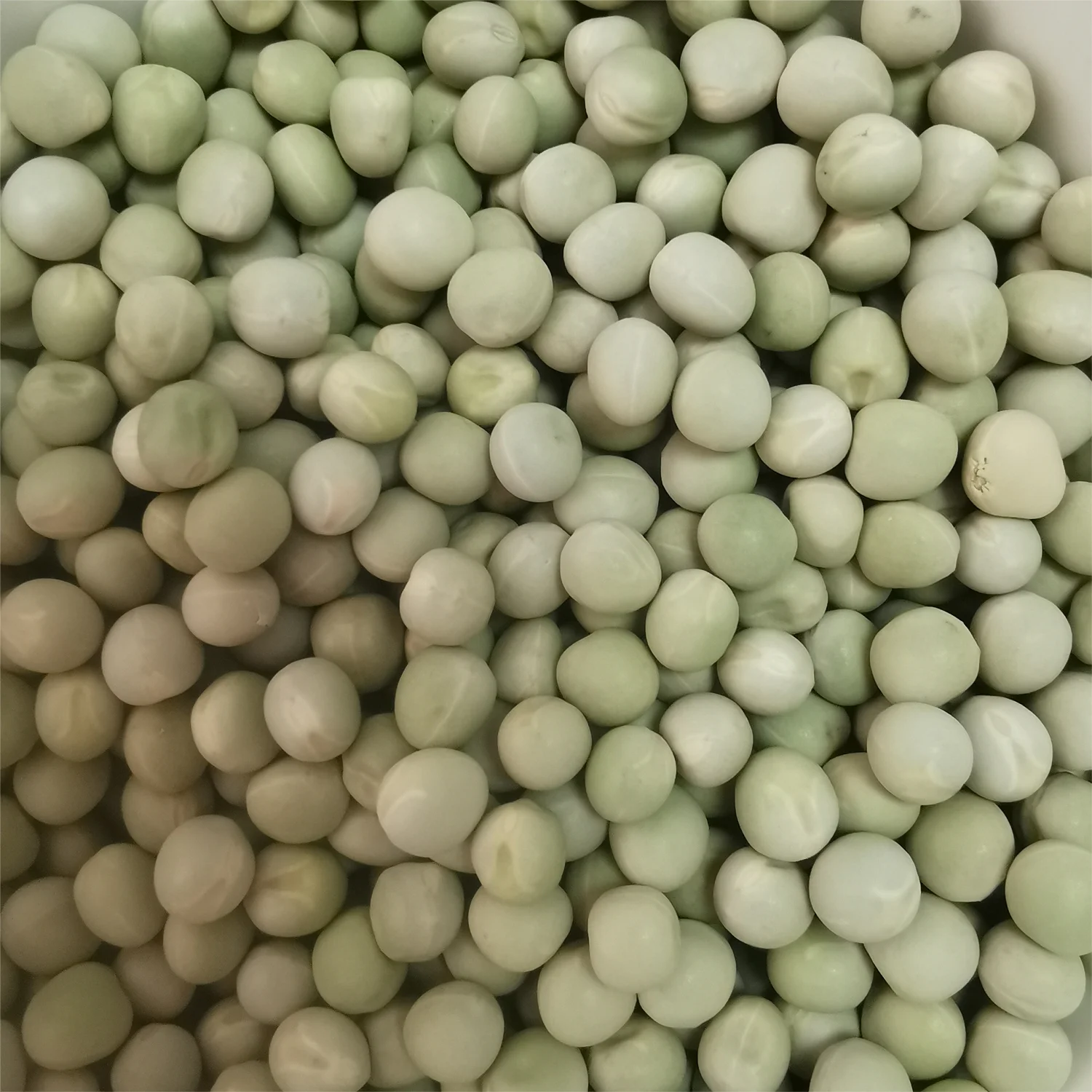 Dried Green Pea Peeled Green Peas Human Food Grade High Quality And Purity Raw green Peas