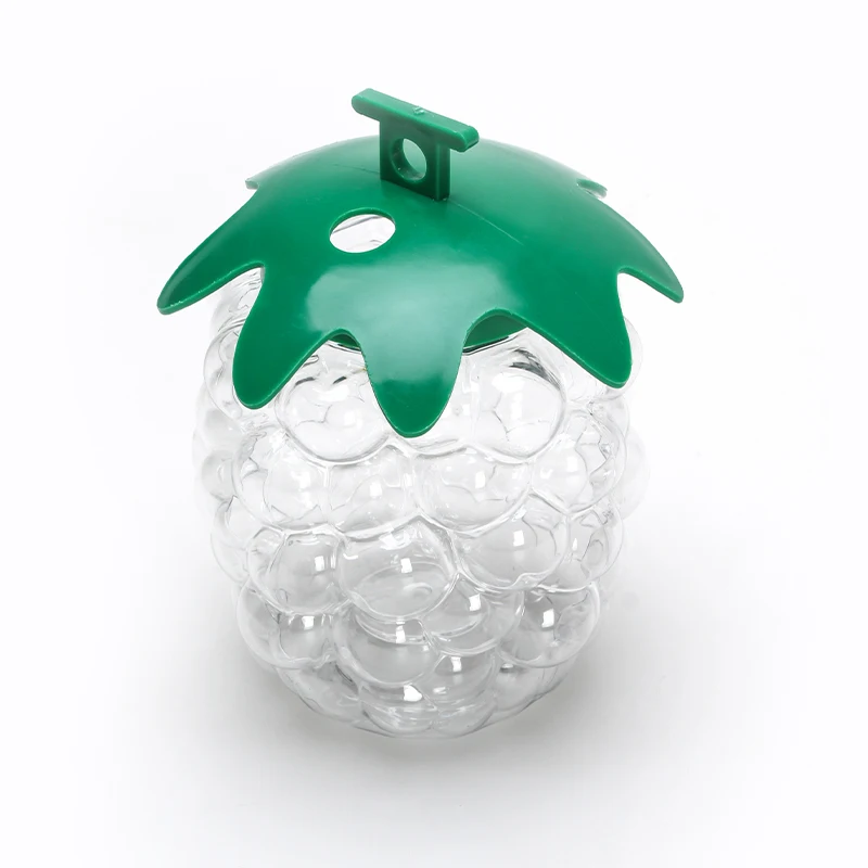 Drink Bottle Reusable Cute Kid Fruit Grapes Shaped Empty Clear Drink Juice Water Bottle With Straw Lid For Summer