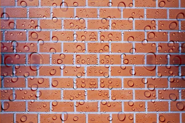 
Amazon sells 100,000 pieces waterproof spray Good value for money liquid waterproofing High practicality polyurea coatings 