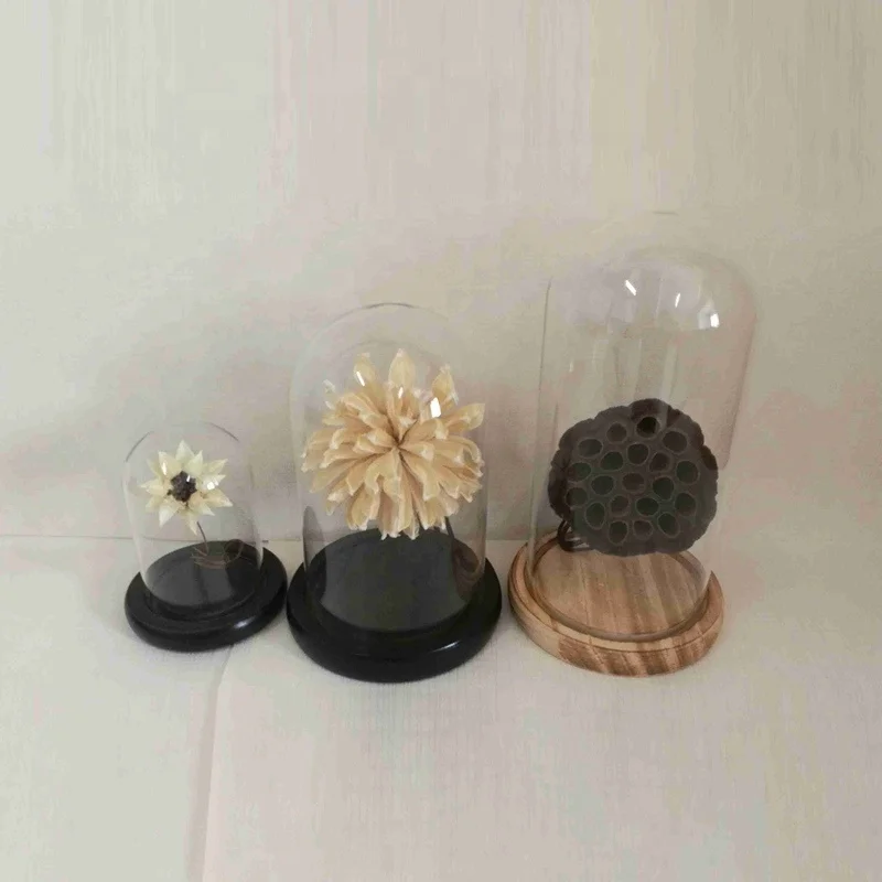 D9*H15cm Wholesale tall and short glass display dome/Flower Storage Dome/Flower Storage Jar with wood bottom