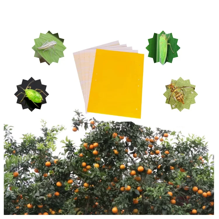 Insect Sticky Trap Pest With Double-sided Glue For Greenhouse Orchard Farm Waterproof