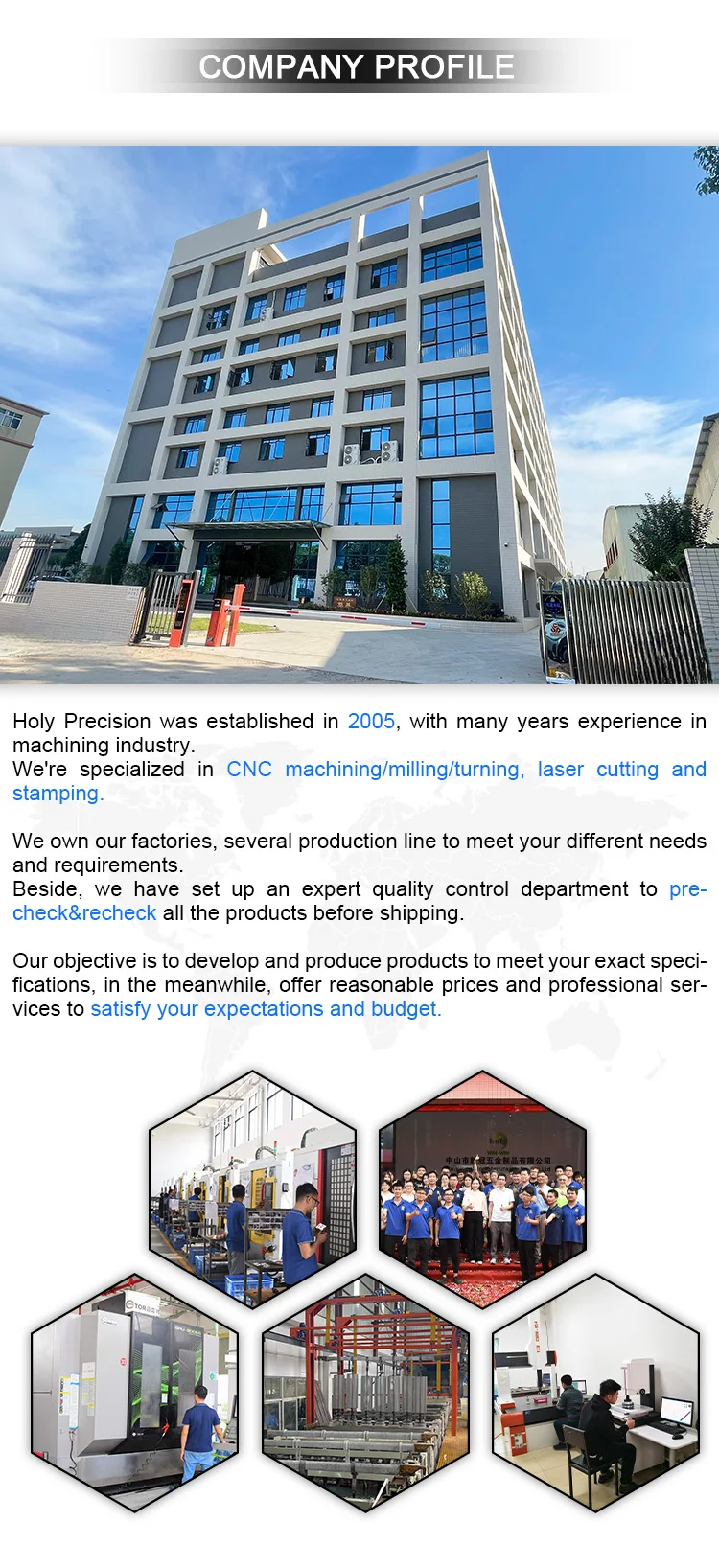 company profile