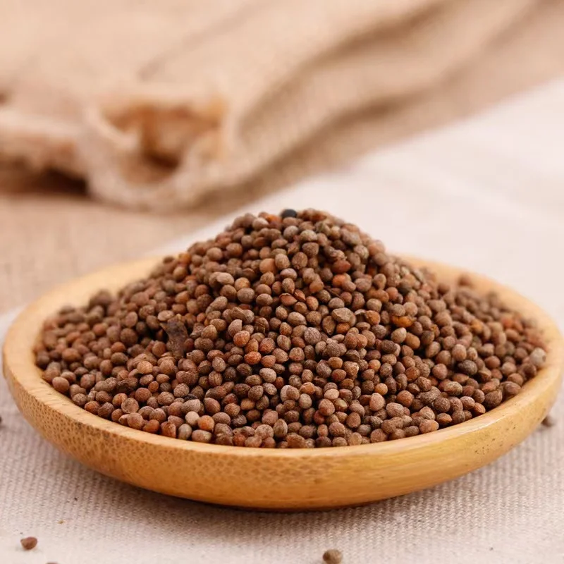 Оптовая продажа, новые товары, семена периллы, Пакистан, семена северо-западной периллы