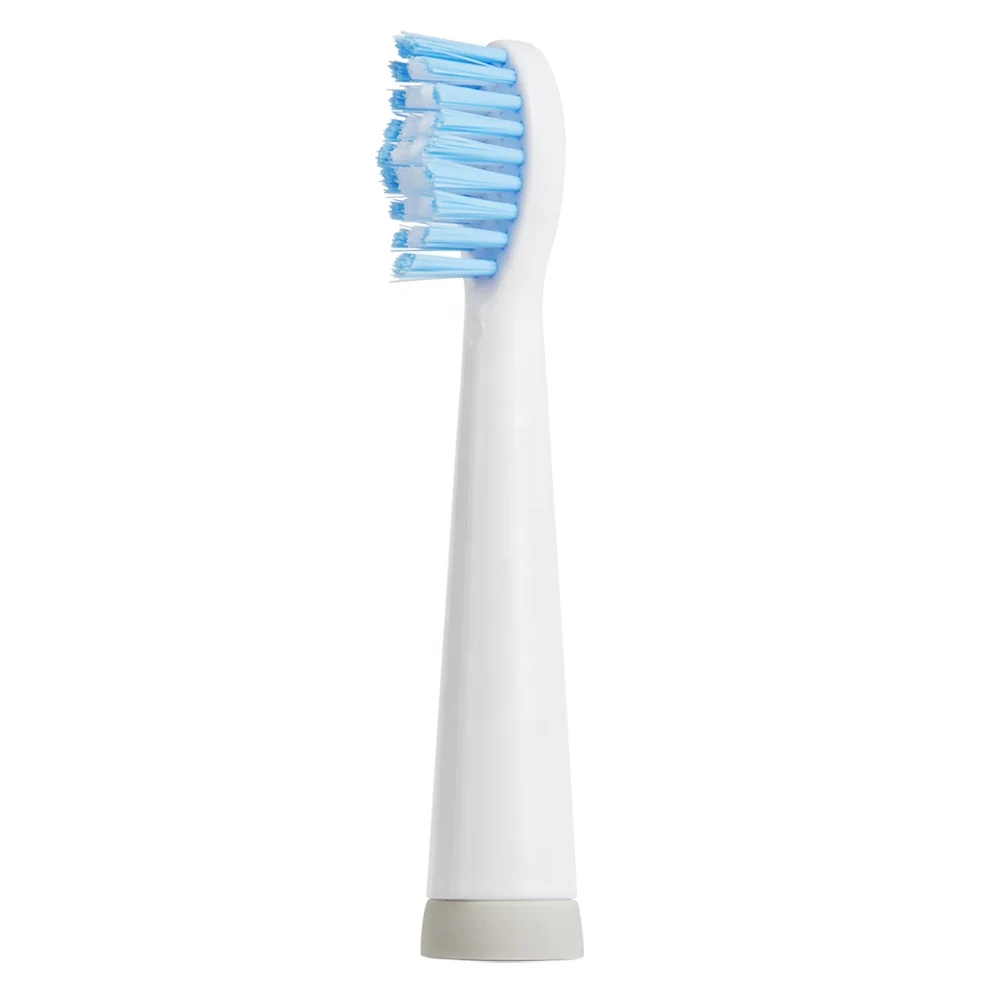 
PT19 Free Sample 10 Years Oral Care Factory USB Rechargeable Powered Vibrate Automatic Sonic Electric Toothbrush 