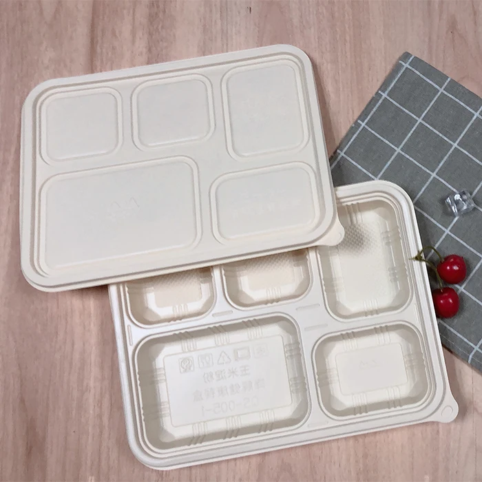 Wholesale Disposable Packaging Food Container Compostable 3 Compartment Lunch Box for Biodegradable Disposable Tableware