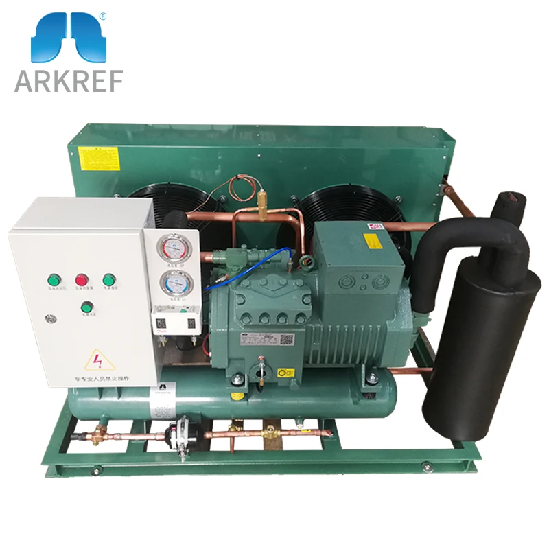  Bitzer Compressor Meat Cold Storage Refrigeration Equipment
