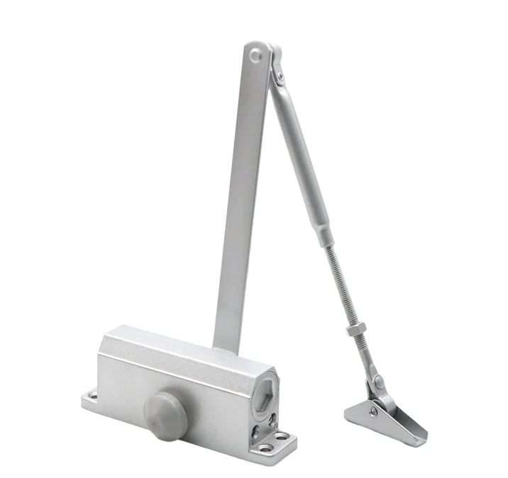 Automatic Door Closer 2 Spring Hydraulic Buffer Adjustable Door Stopper Speed Mute Closing sliding hidden door closer