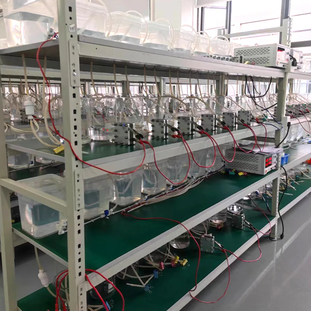 900ml 1200ml 2000ml Hydrogen Ful Cell Pem Electrolyser H2 Gas Generator Hydrogen Electrolyzer