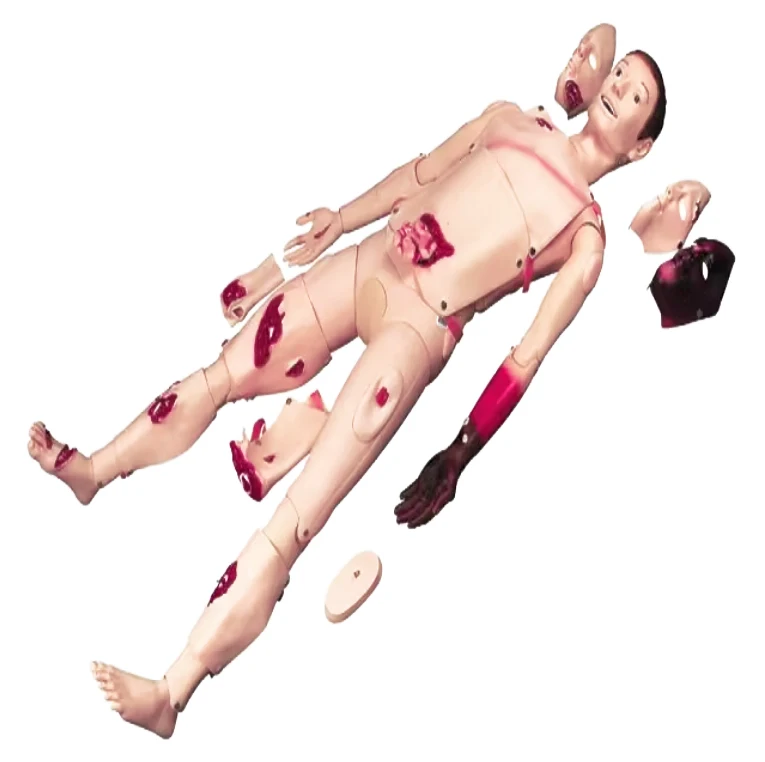 Medical Subject medical science Burning Wound Nursing Training Model advanced general doctor Manikin Trauma Manikin