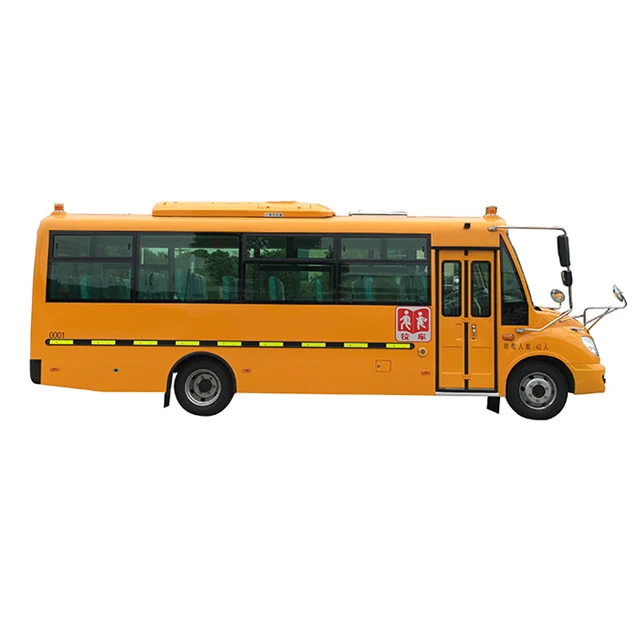 New Luxury School Bus