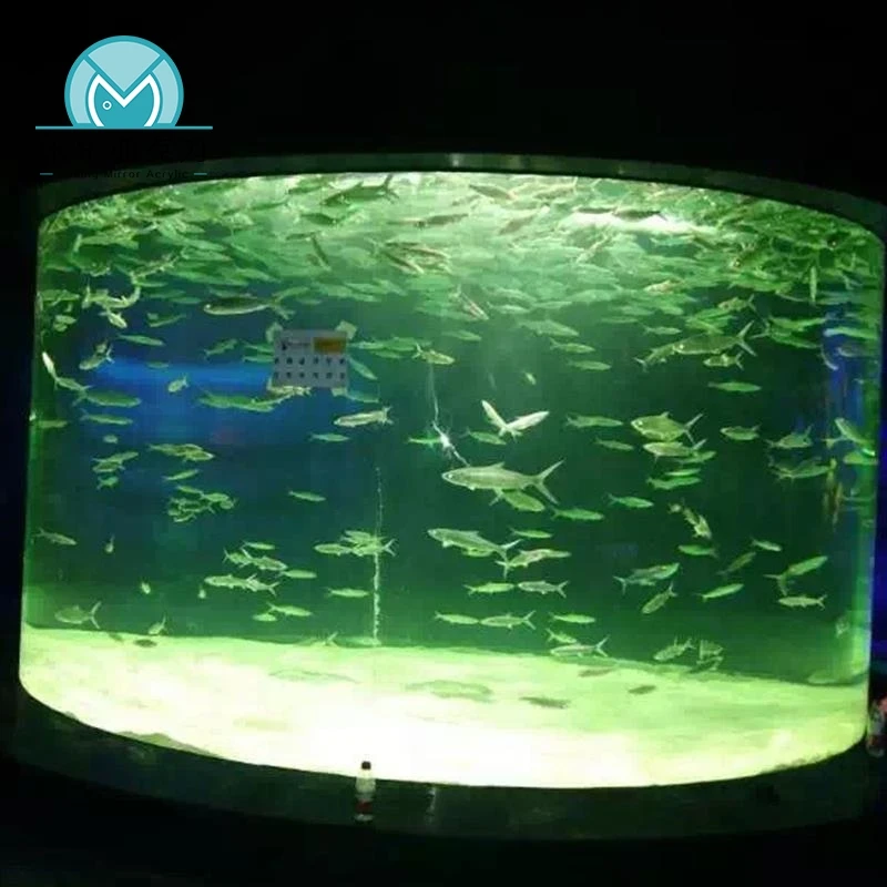 Custom design new premium popular circular tube acrylic fish tank artificial jellyfish