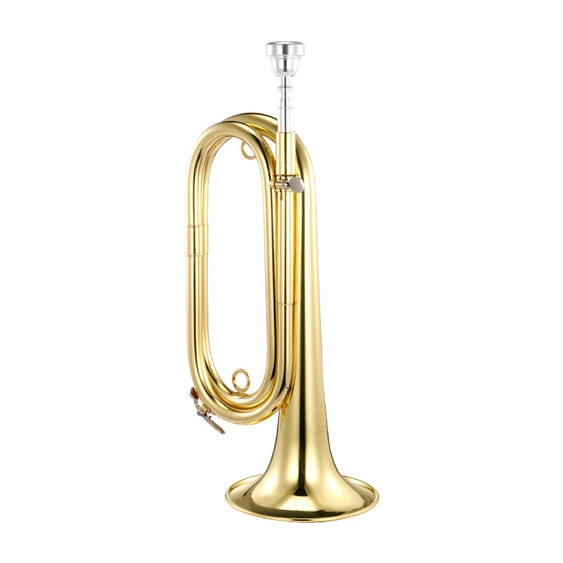 Оптовая цена, под заказ, золотой лак, труба от производителя, музыкальный инструмент brasswind для продажи