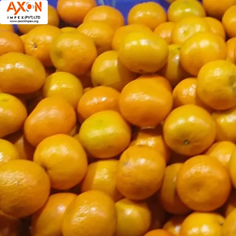 
Pakistani Mandarin, Special Offer for Russian Buyers Temple Orange Tangerine Nanfeng Oranges Honey Oranges Mandarin Orange 