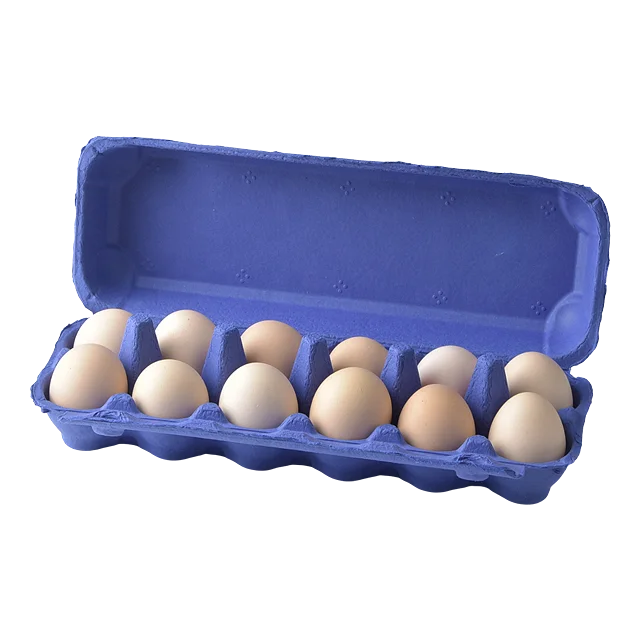 Eco-friendly biodegradable customized dozen egg carton crafts ,12  egg packaging , egg boxes for sale