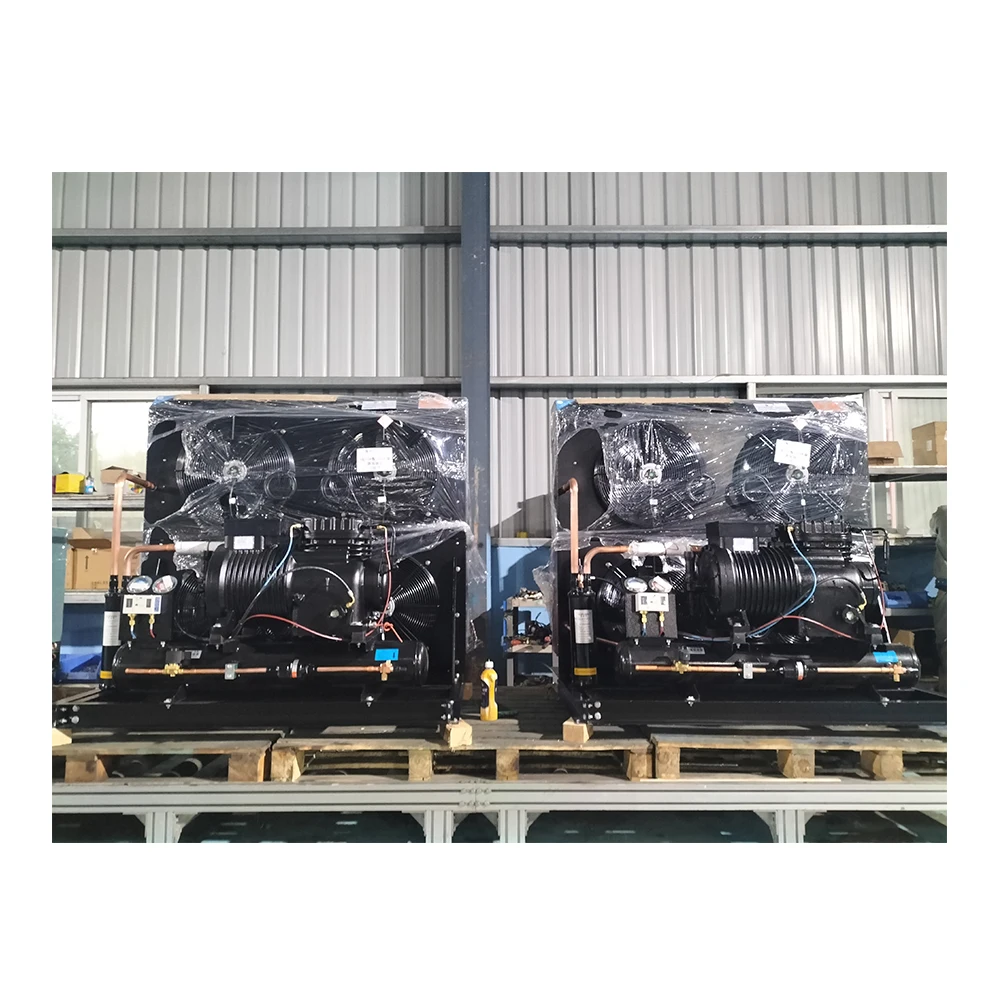 Factory Germany Air Cooled Piston Compressor Condensing Unit For Cooling System Refrigeration