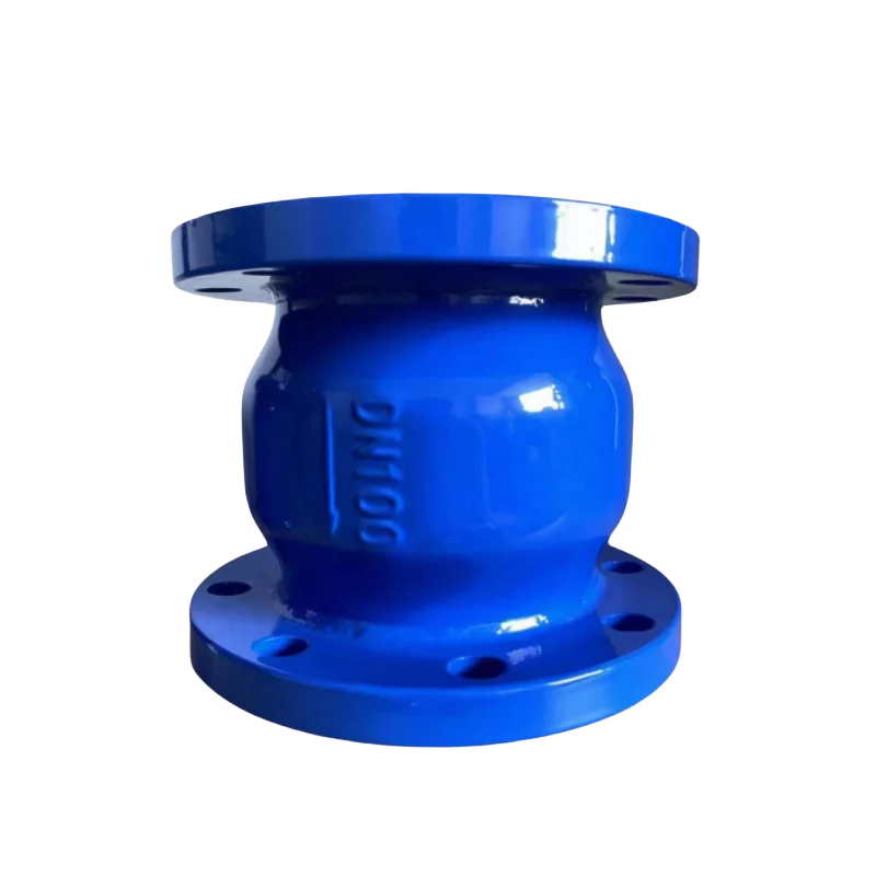 Check Valve Clamp Connection Backstop Valve Fire Pipe Trench Muffler Check Valve