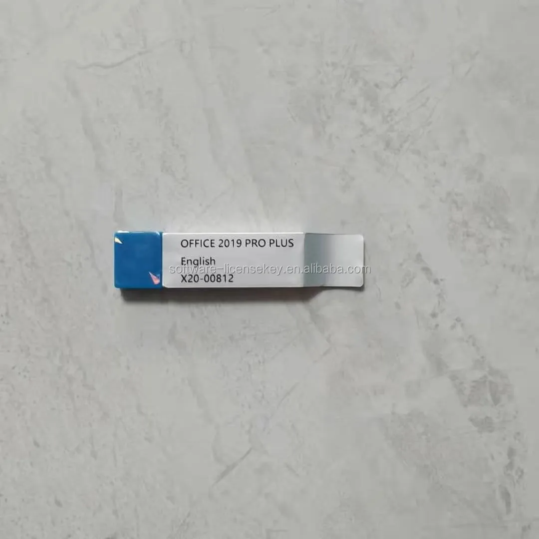 Офис 2019 Профессиональный USB полный пакет офис Pro Plus установка по