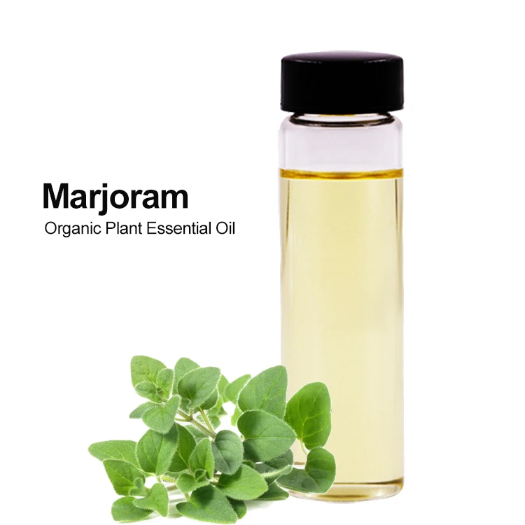 Essential oil (new) Bulk Organic Diffuser Aroma Marjoram Oil Poilant Extract Oil
